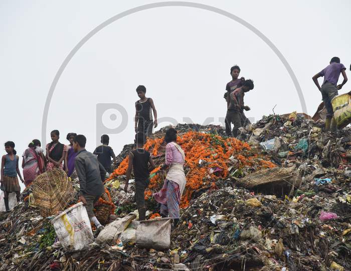 Indian Rag Pickers  In an  Dumping Ground , Guwahati