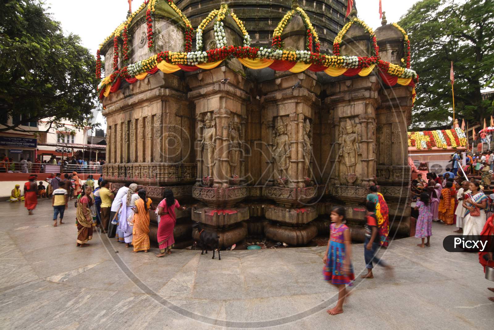 Assamese Hindu Devotees Celebrating Ambubachi Mela In Khamakhya Temple in Guwahati, Assam