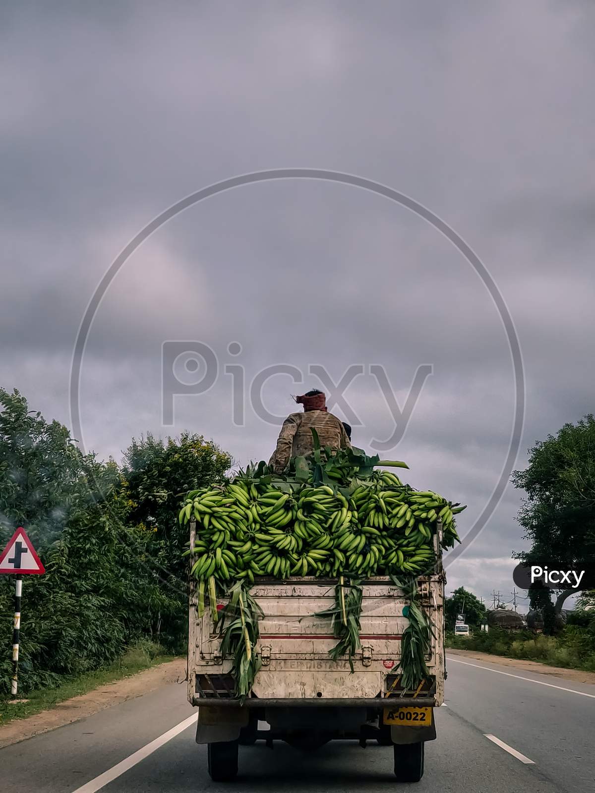 A Worker Sat on Banana Load in a Truck
