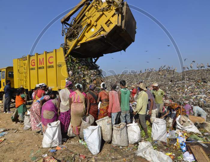 Indian Rag Pickers  In an  Dumping Ground , Guwahati