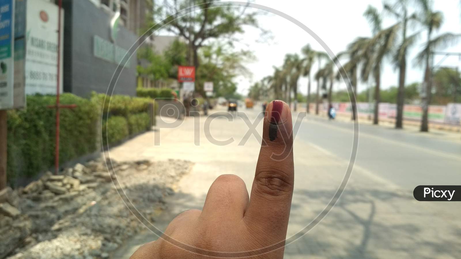 Voting in 2019 assembly elections