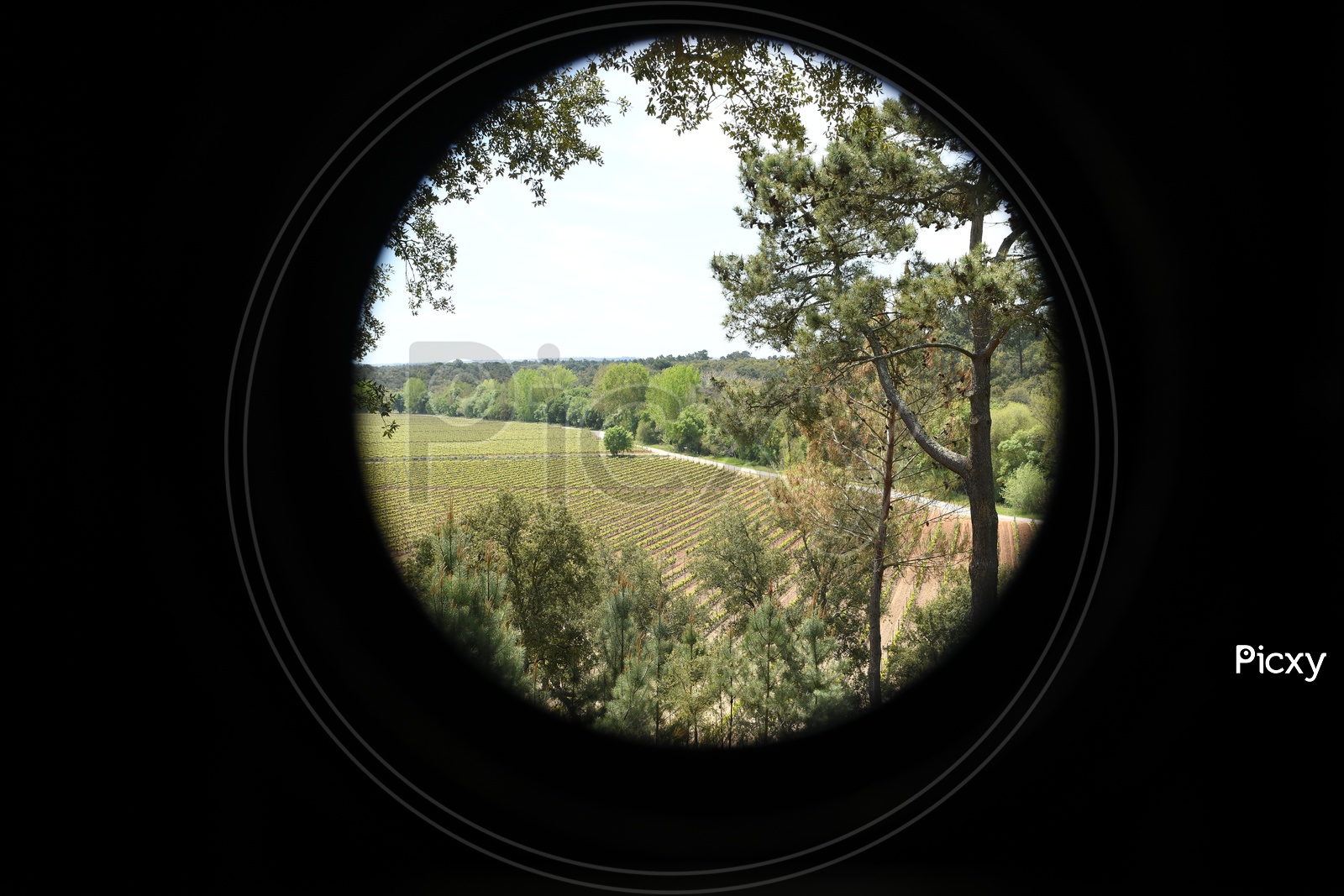 A View of Agricultural Fields In an Vintage Camera Frame