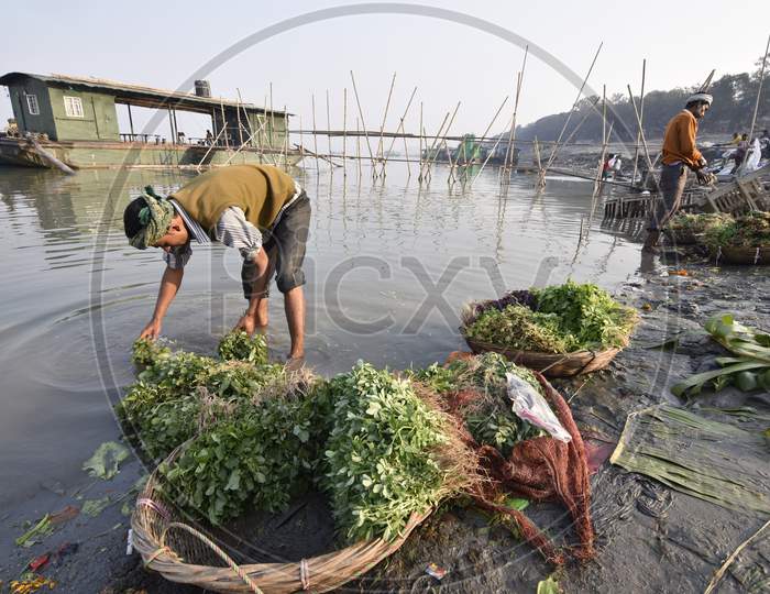 Vegetable Vendors Cleaning Vegetables in Tungabadra River At Guwahati, Assam