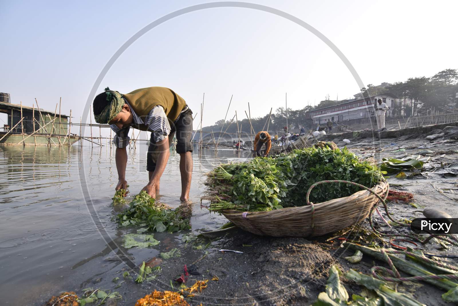 Vegetable Vendors Cleaning Vegetables in Tungabadra River At Guwahati, Assam