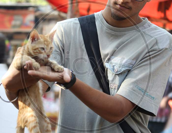 A Man Holding a Cat