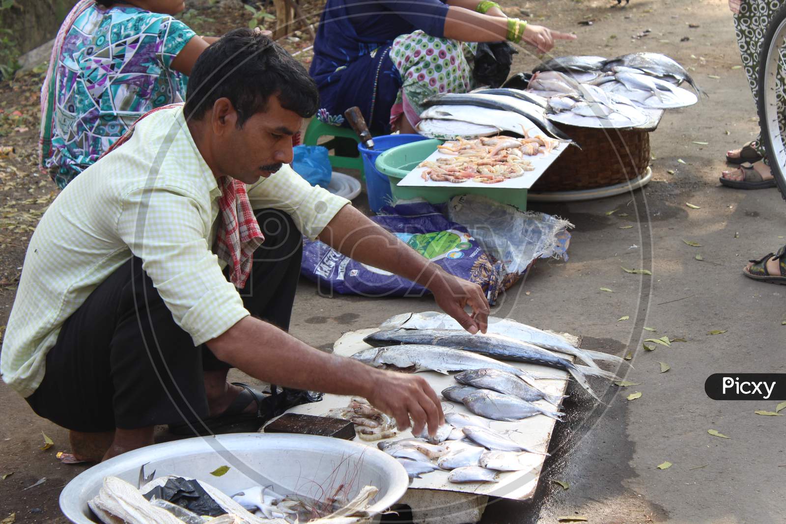 A Fish Vendor  In a Market