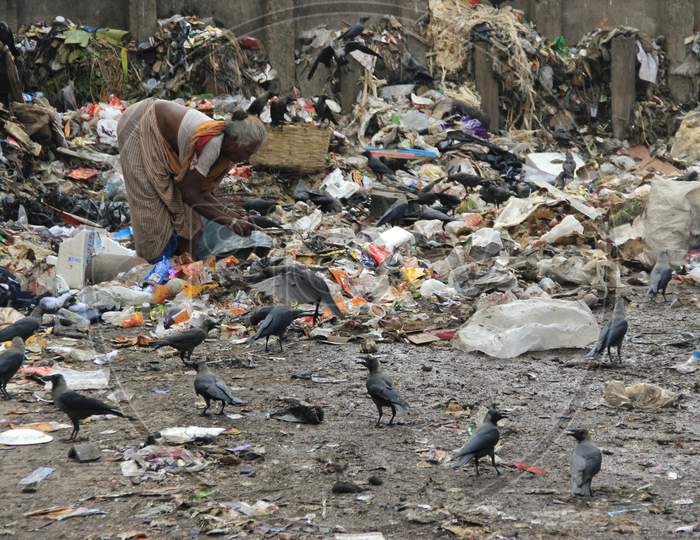 Indian Woman segregating trash