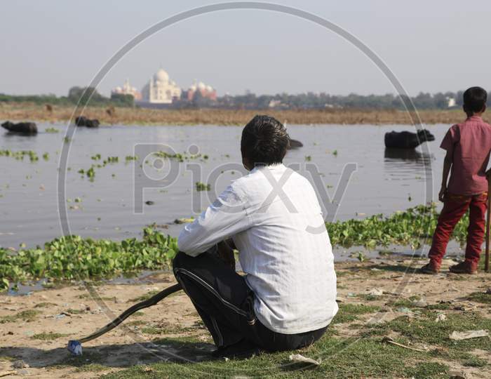 Buffalo Keeper at Yamuna River, Agra