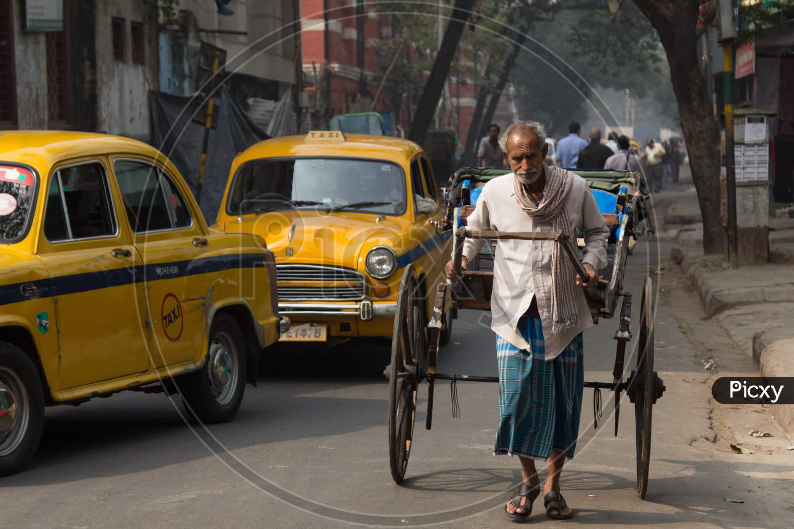 Indian Old Man Pulling a Rickshaw on the Kolkata Streets