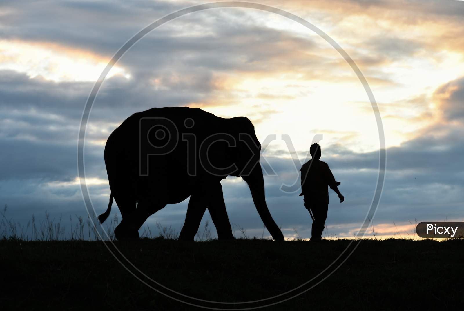 Silhouette Elephant with mahout