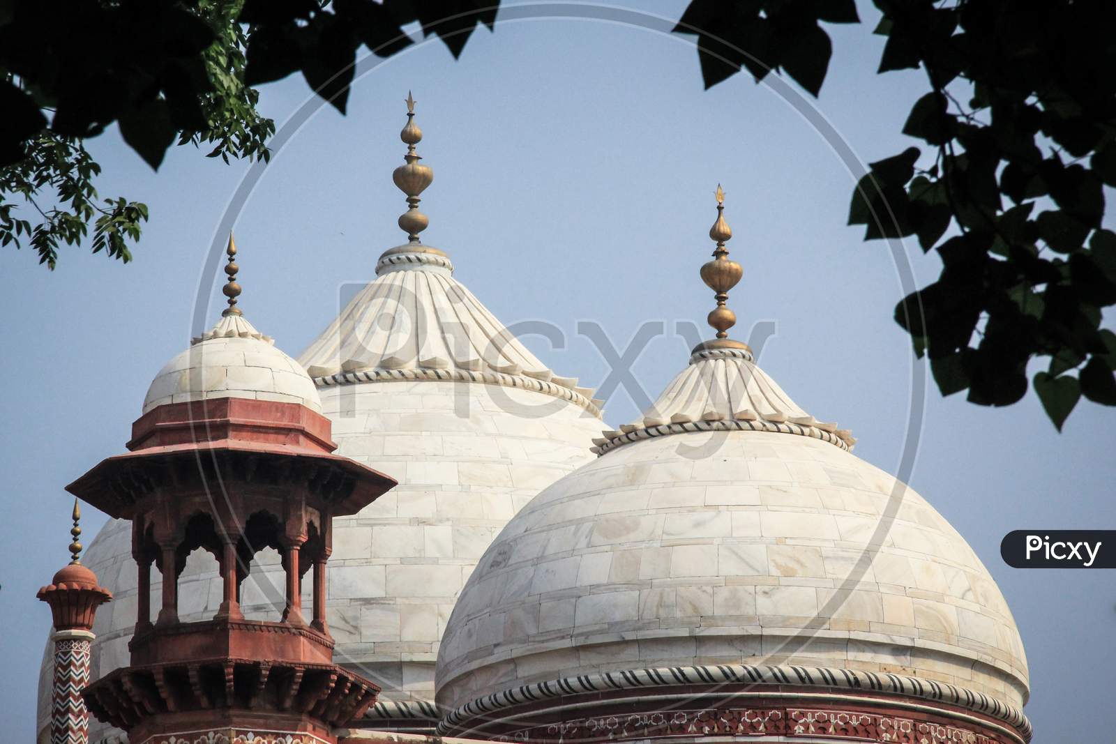 View of Mosque in Taj Mahal, Agra