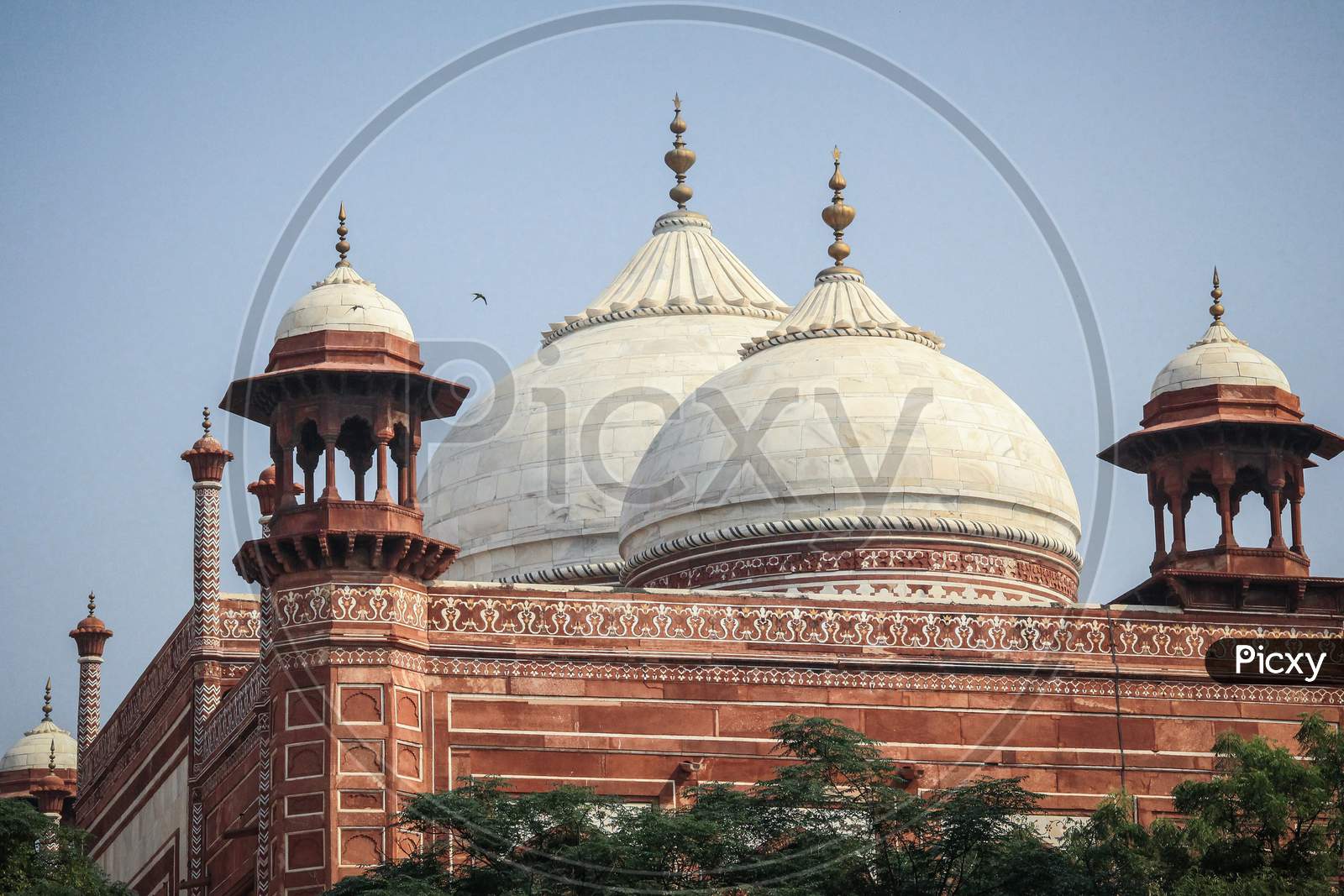 View of Mosque in Taj Mahal, Agra