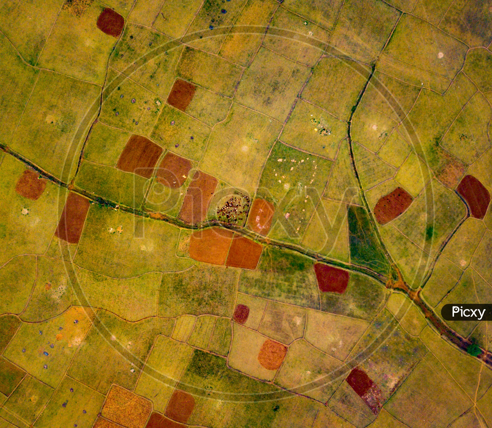 Aerial View of Agriculture Fields