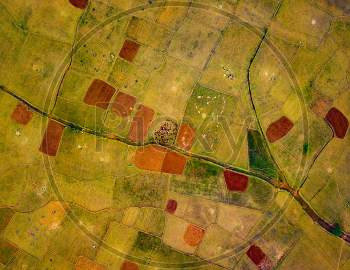 Aerial View of Agriculture Fields