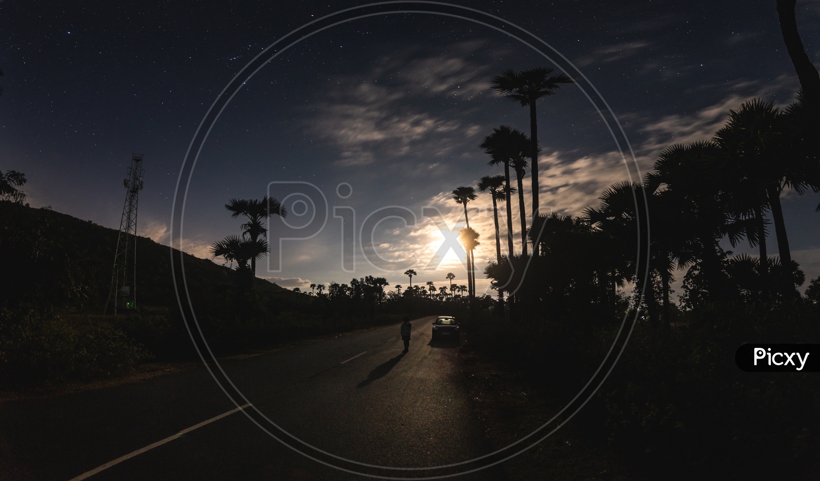 Silhouette of an  School Girl Walking on Road With Palm Tress And Sunset sky