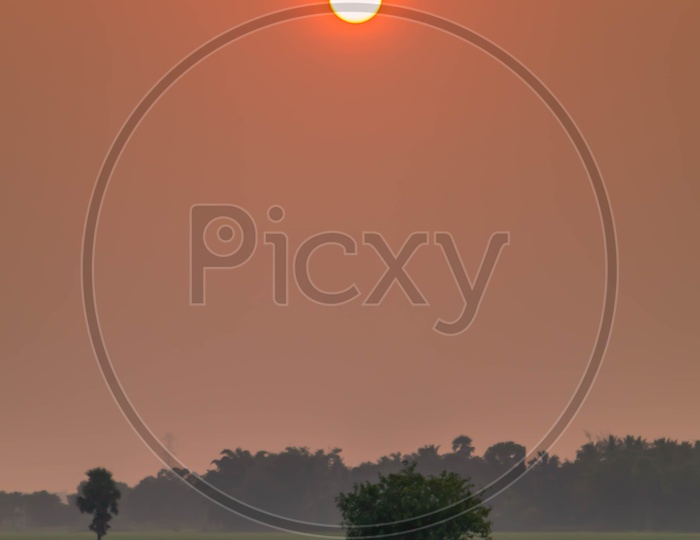 A Farmer walking in Agriculture Fields with Sunset in Background