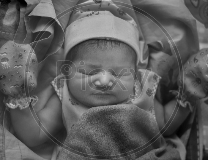 newborn baby  closeup