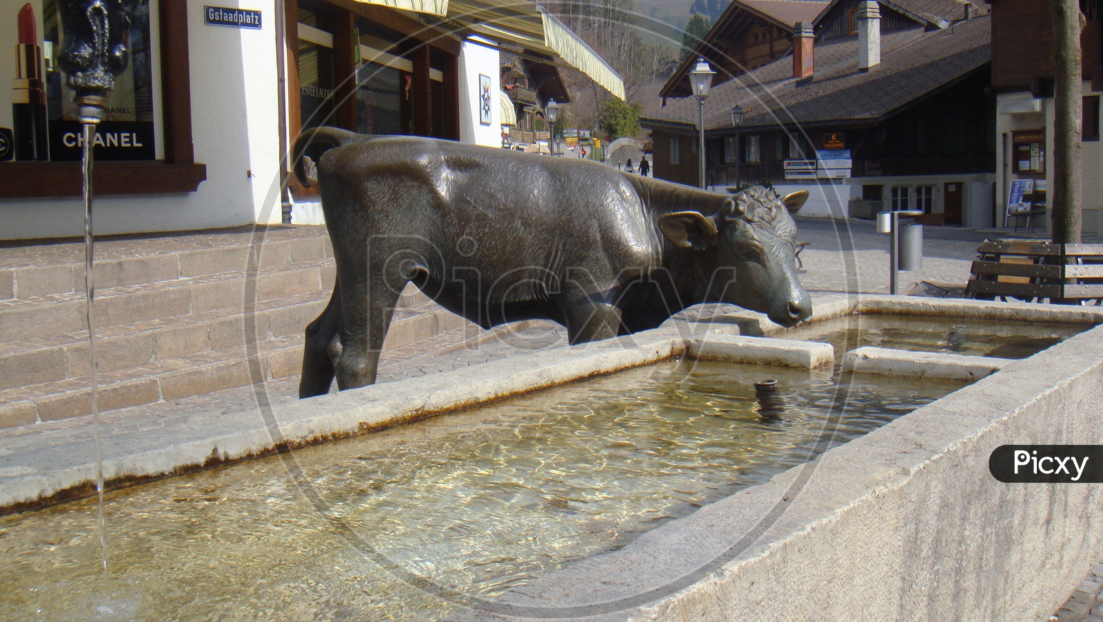 A Bull Statue in Thun