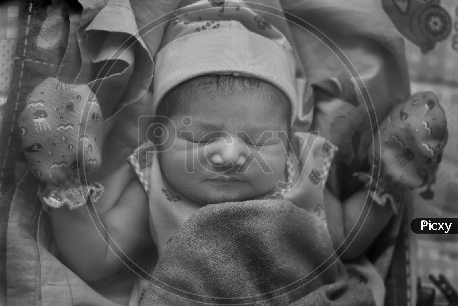 newborn baby  closeup