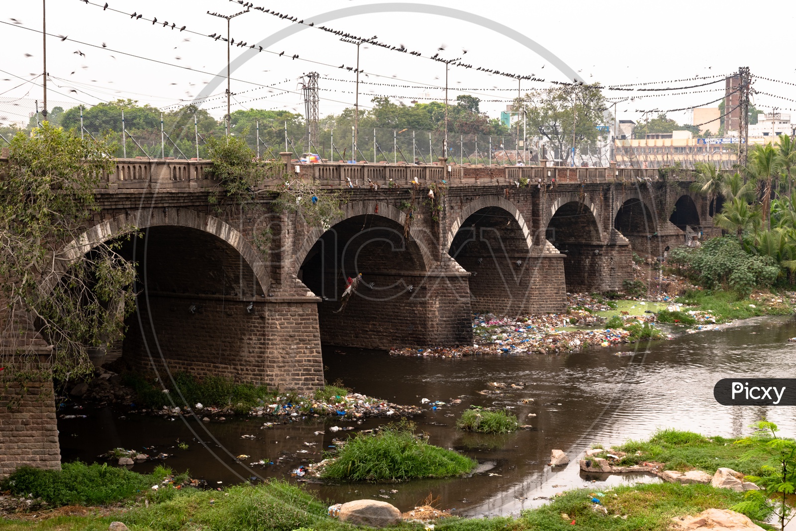 Garbage blocking the flow of musi river at high court of Telangana.