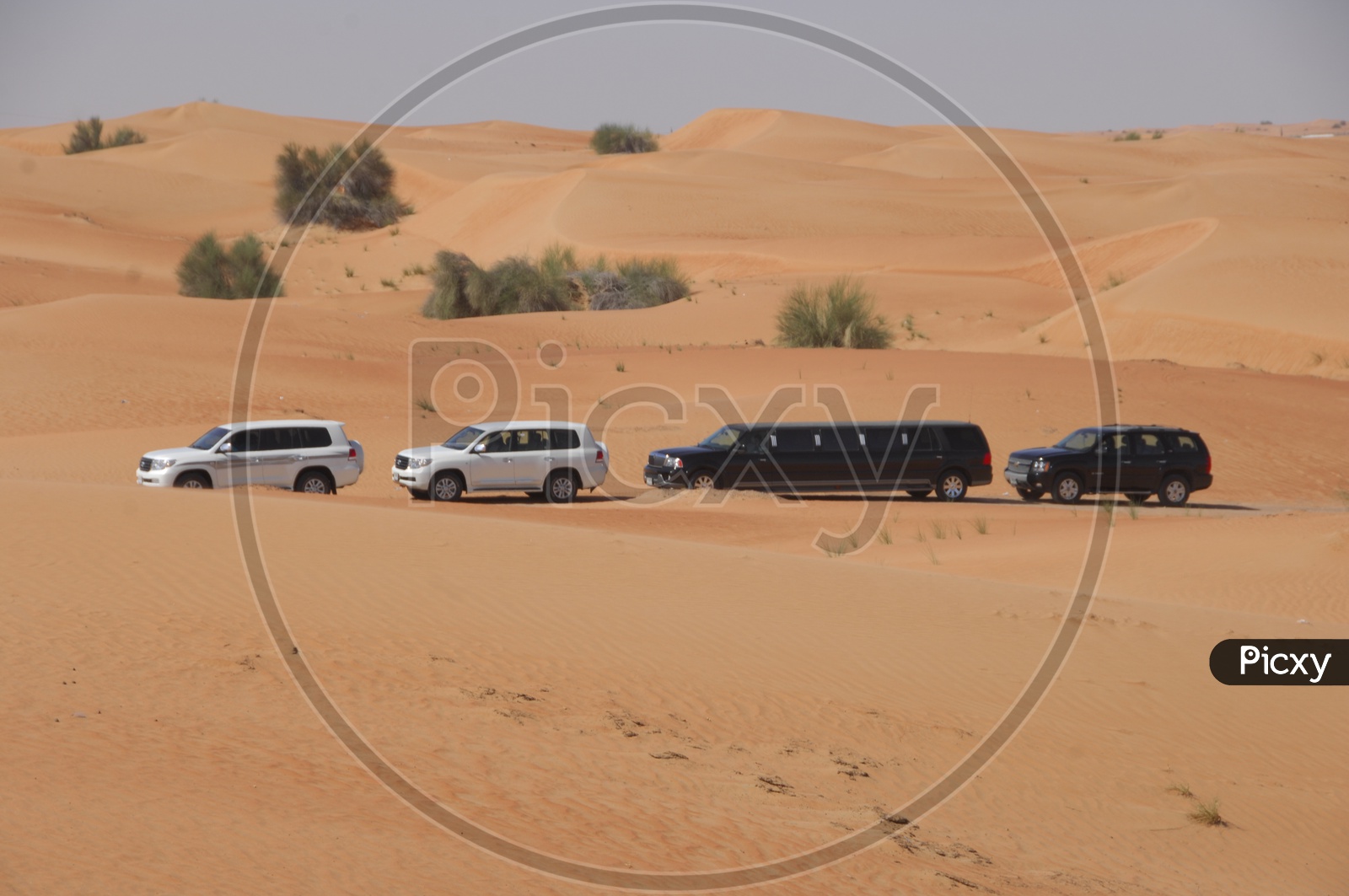 Cars in Desert