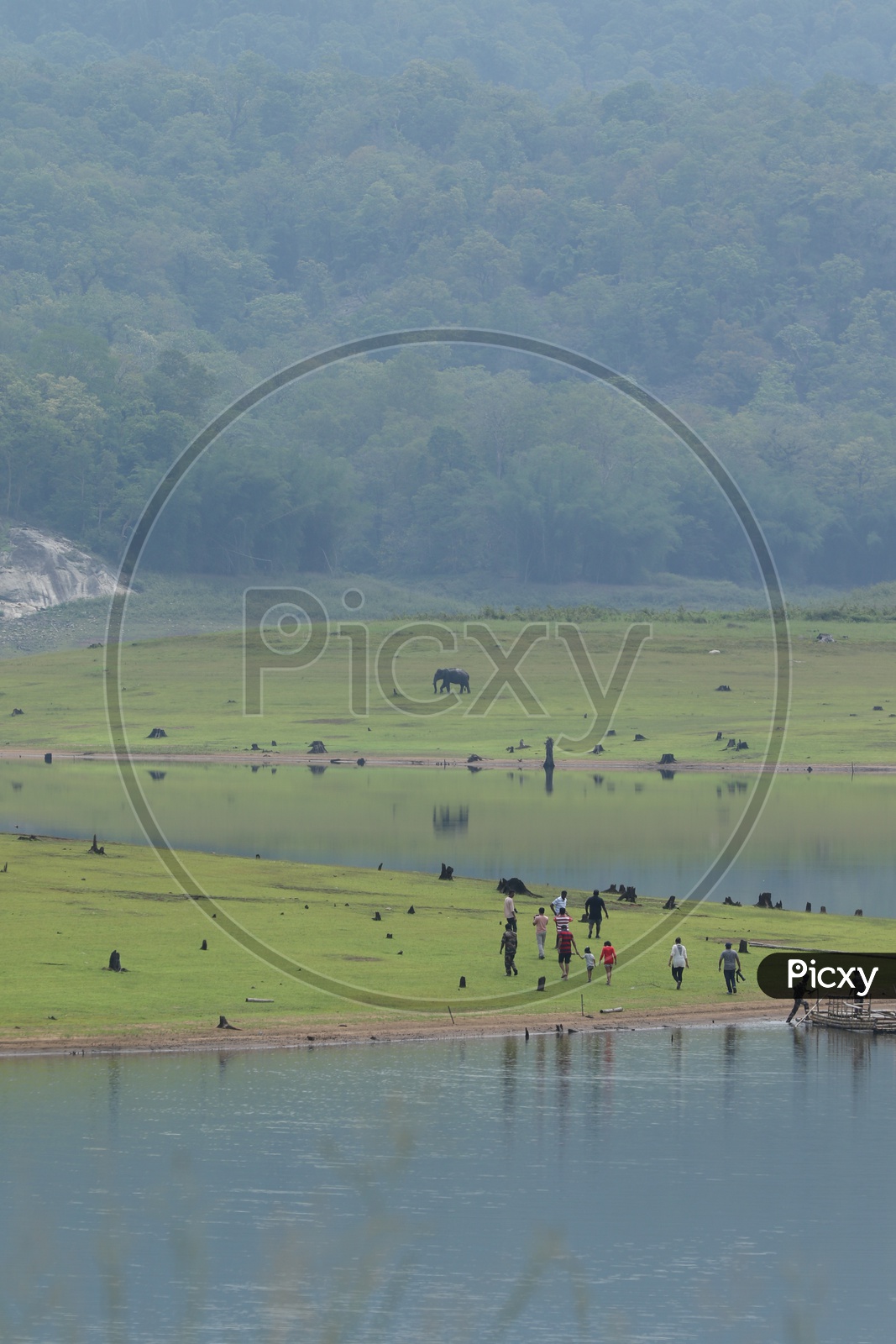 An elephant and tourists in the meadows besides the river at parambikulam Tiger Reserve