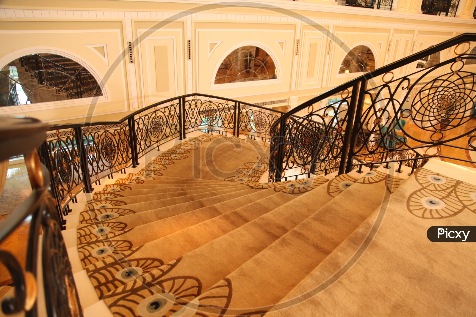 Stair case with carpet