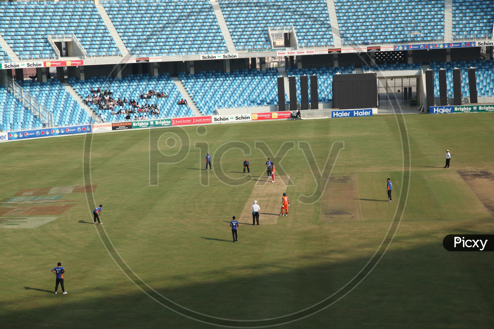 Cricket Match Playing by Players in Sharja Stadium