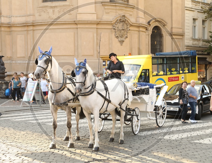 Horse Carts On the Streets of prague
