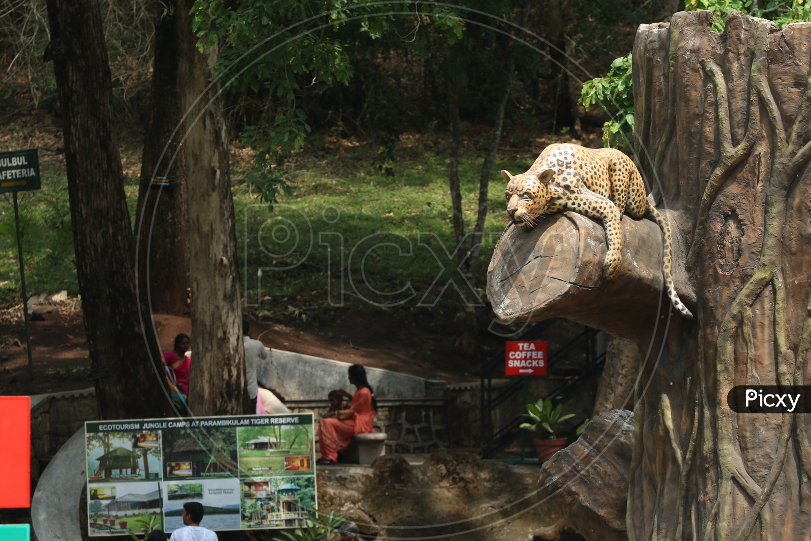 Tourists at Parambikulam Tiger Reserve