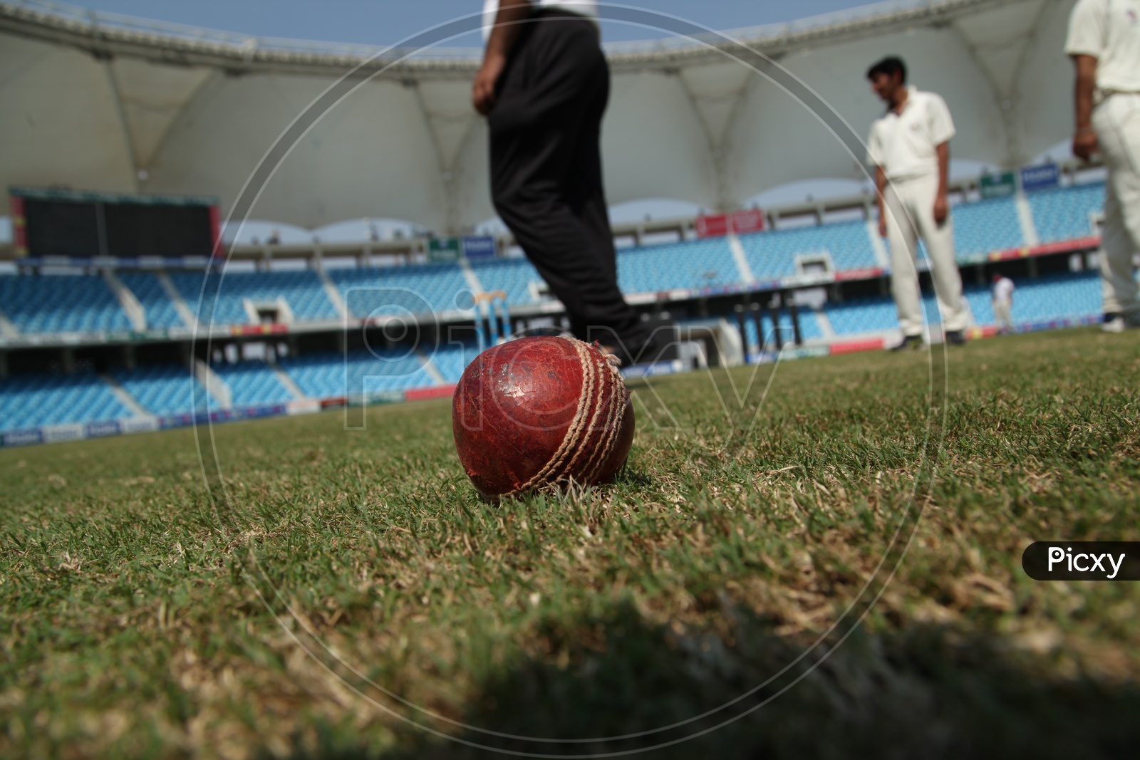 Cricket Ball In a Ground