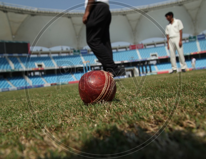 Cricket Ball In a Ground