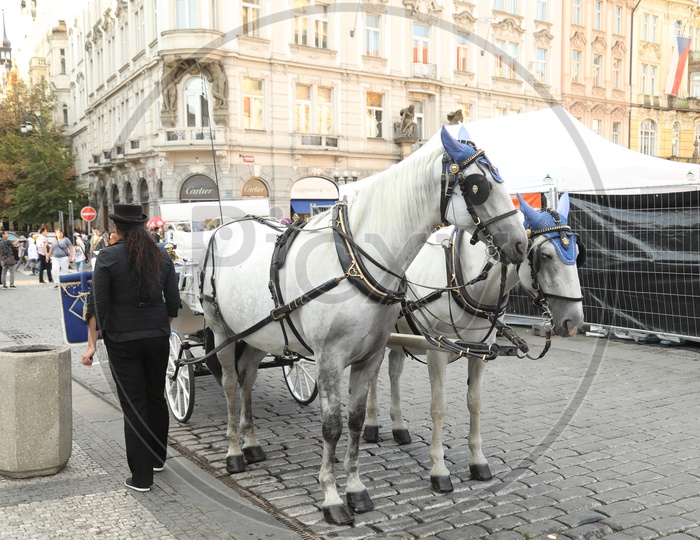 Horse Carts in Prague