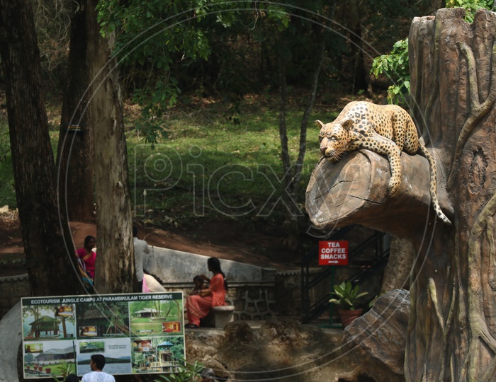 Tourists at Parambikulam Tiger Reserve