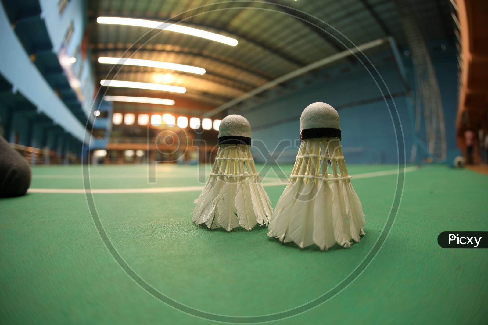 White badminton Shuttlecocks  on a green Shuttle Court Background