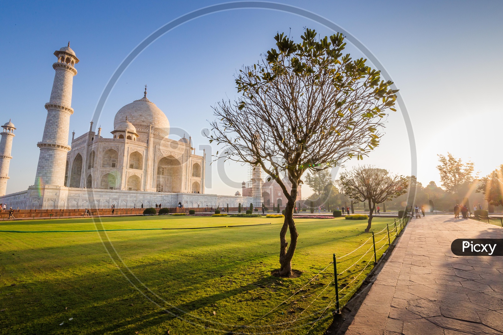 Beautiful Photograph of Taj Mahal with Sun rays