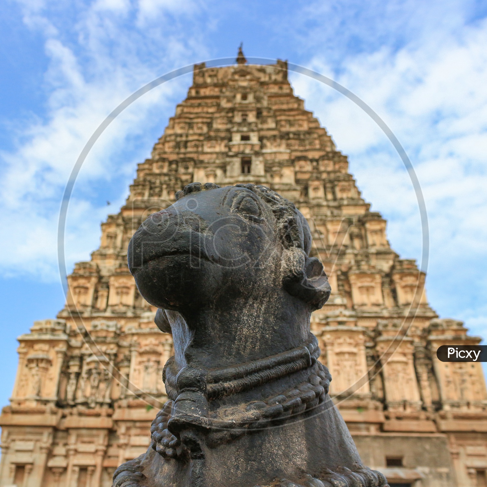 Nandi Statue in front of Temple