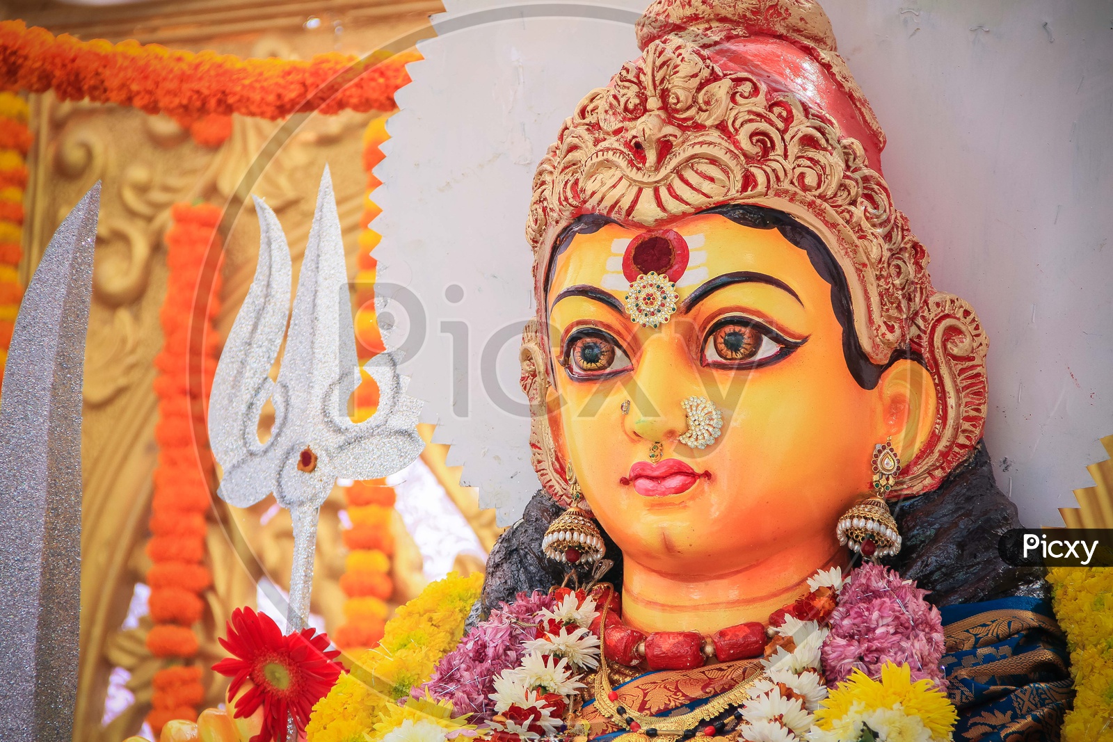 A Hindu Goddess Idol, Maa Durga