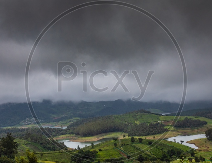 A cloudy day over the tea plantations in Ooty
