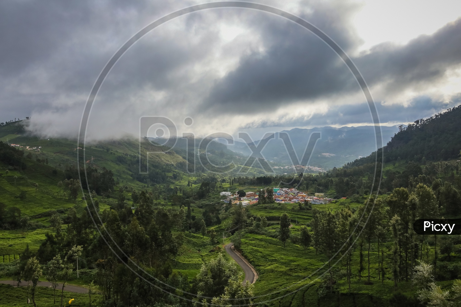 Tea plantations and houses in Ooty