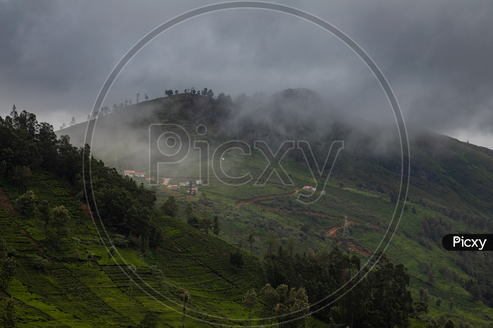 Aerial View of Tea Plantations in Ooty From Hill Tops