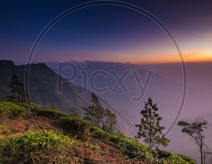 Landscapes of Munnar - Sunrise, Mountains & Greenary