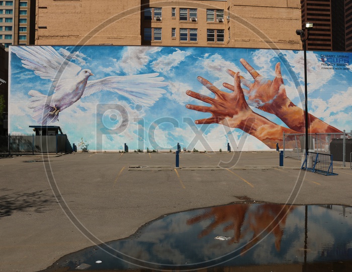 Calgary Wall Art