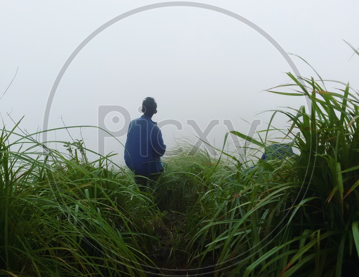A man standing in a dense fog among the tall grass
