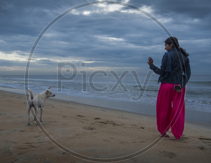 A young girl and a dog at the beach
