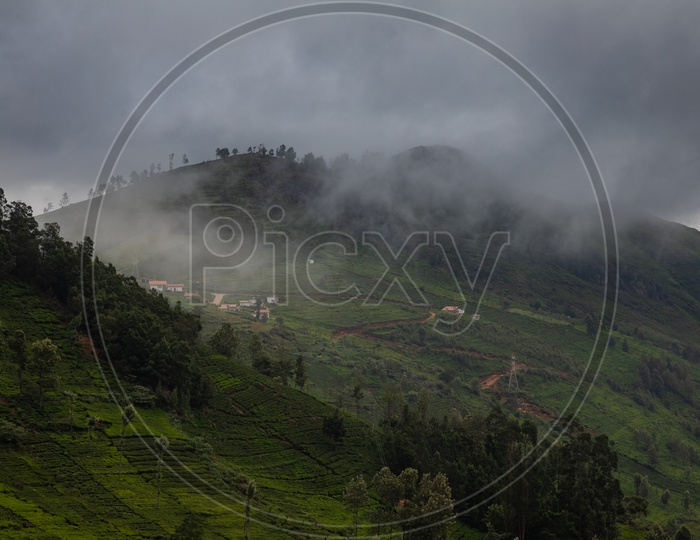 Aerial View of Tea Plantations in Ooty From Hill Tops