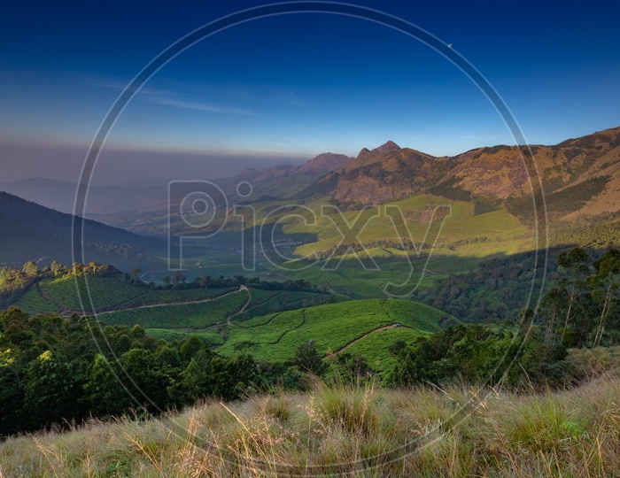 Tea Plantations alongside the mountain ranges