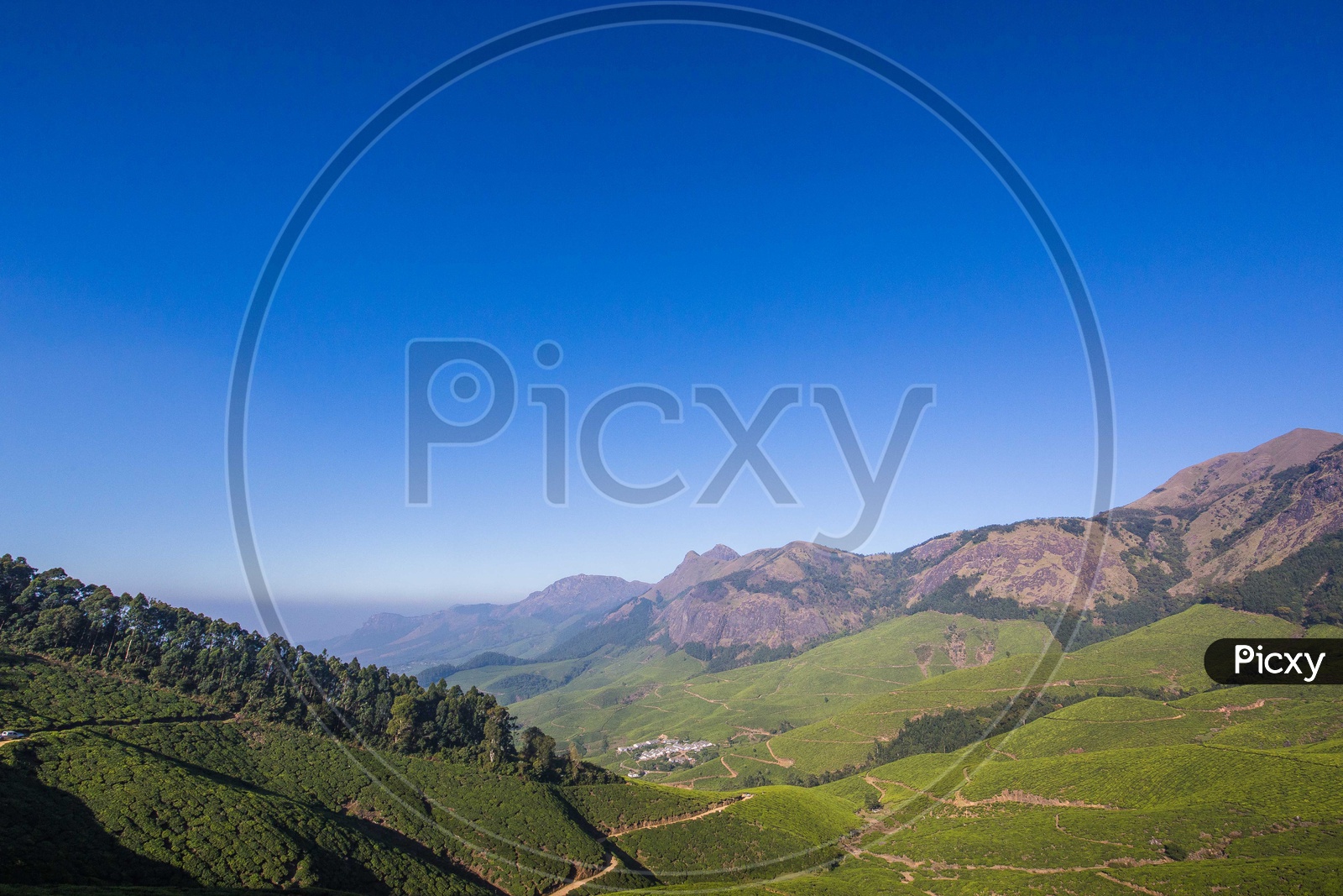 Landscapes of Munnar - Mountains & Greenary