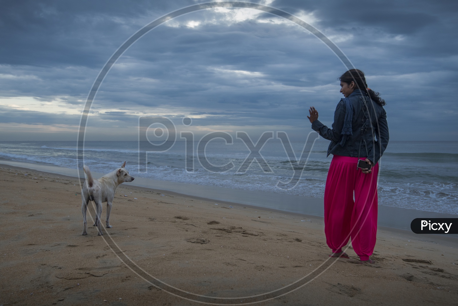A young girl and a dog at the beach