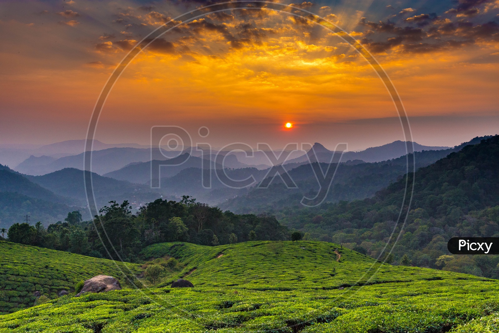 Sunset over the western ghats and tea plantations